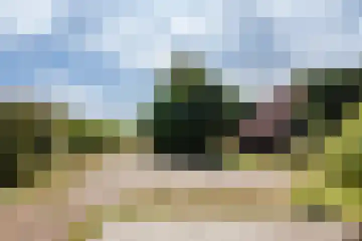 Oosterblokker 131 Oosterblokker thumbnail 57