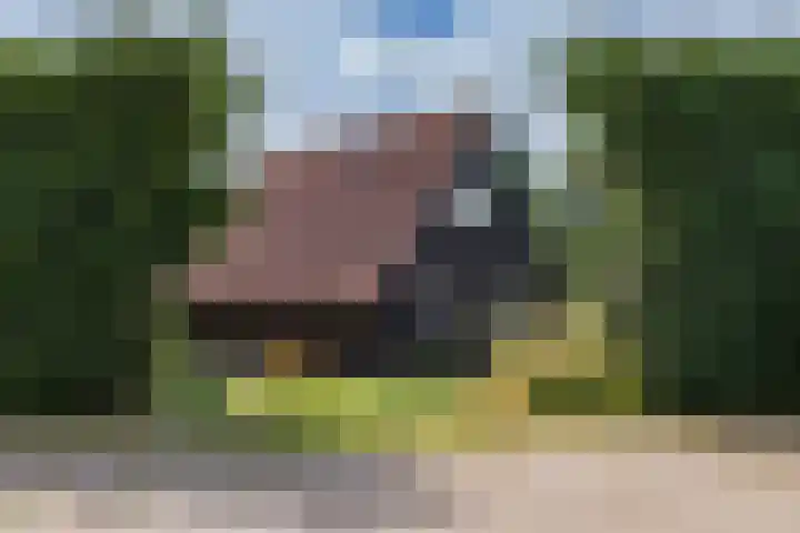 Oosterblokker 131 Oosterblokker thumbnail 58