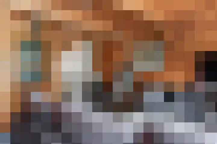 Oosterblokker 131 Oosterblokker thumbnail 60
