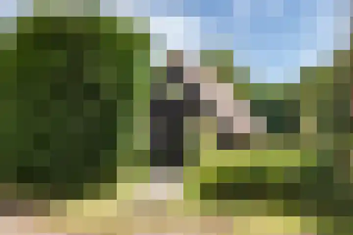 Oosterblokker 131 Oosterblokker thumbnail 64