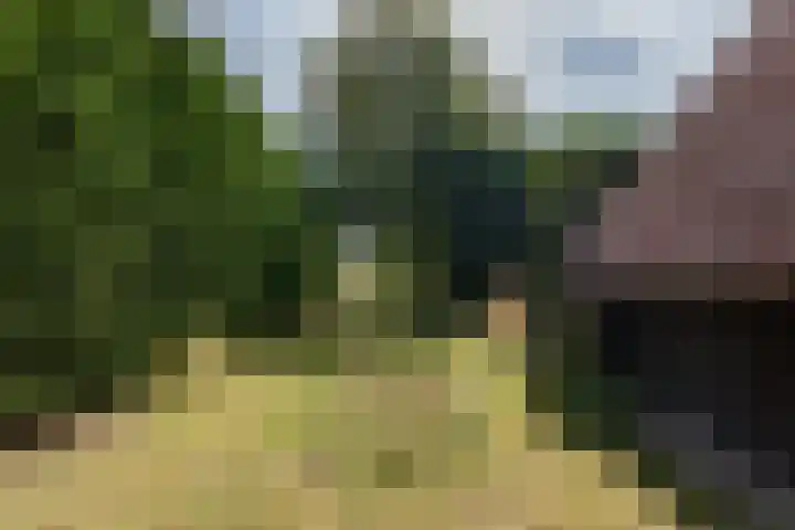 Oosterblokker 131 Oosterblokker thumbnail 65