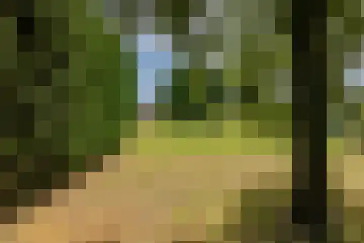 Oosterblokker 131 Oosterblokker thumbnail 66