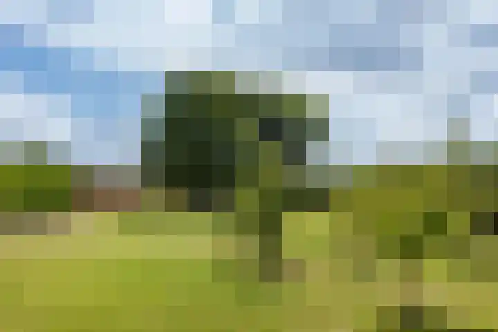 Oosterblokker 131 Oosterblokker thumbnail 67