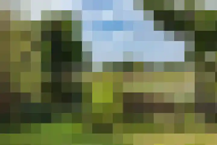 Oosterblokker 131 Oosterblokker thumbnail 68