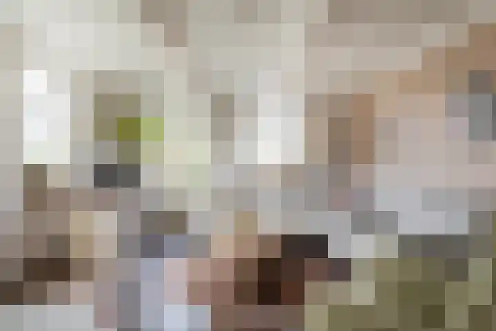 Oosterblokker 131 Oosterblokker thumbnail 7