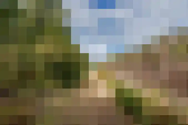 Oosterblokker 131 Oosterblokker thumbnail 70