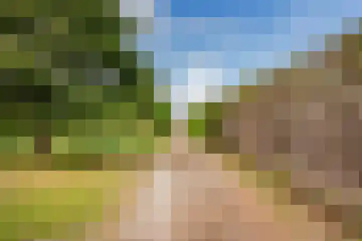 Oosterblokker 131 Oosterblokker thumbnail 71