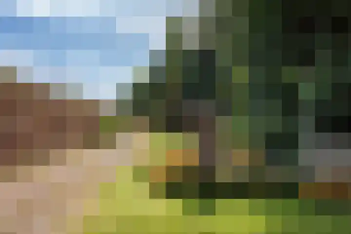 Oosterblokker 131 Oosterblokker thumbnail 72