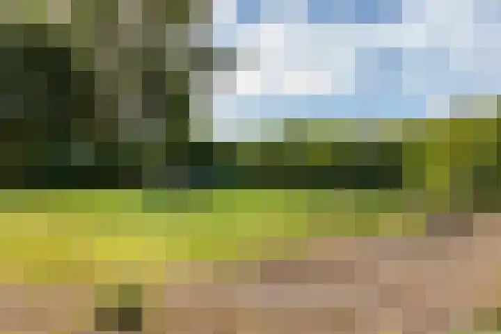 Oosterblokker 131 Oosterblokker thumbnail 73