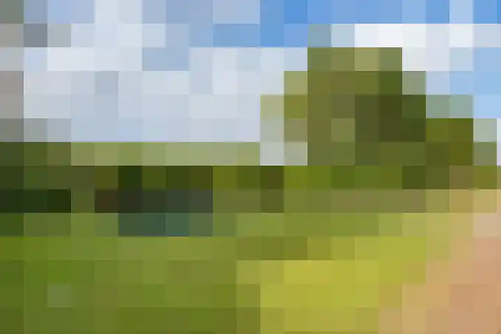 Oosterblokker 131 Oosterblokker thumbnail 74