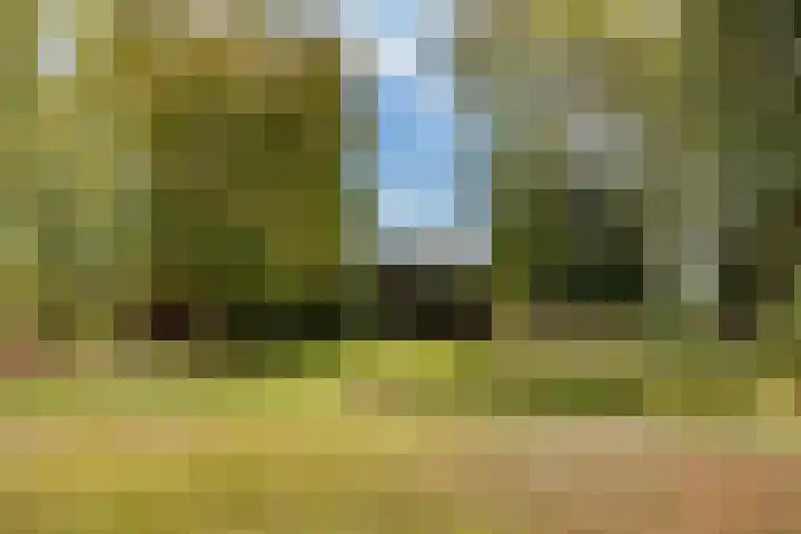 Oosterblokker 131 Oosterblokker thumbnail 75