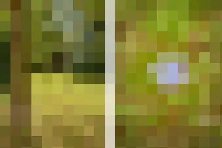 Oosterblokker 131 Oosterblokker thumbnail 79