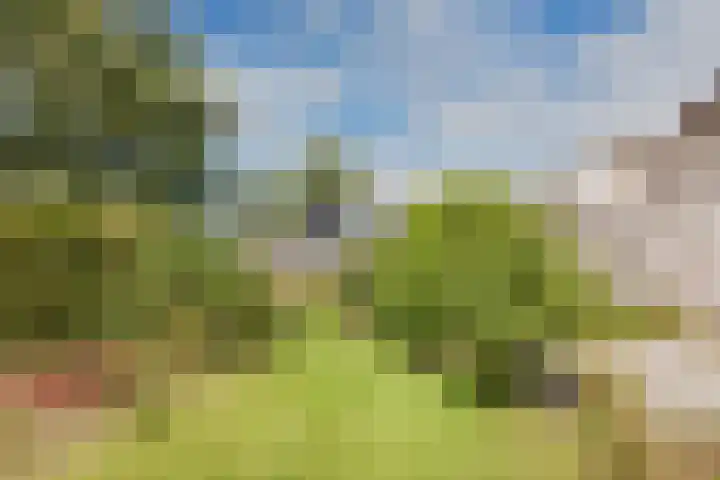 Oosterblokker 131 Oosterblokker thumbnail 81