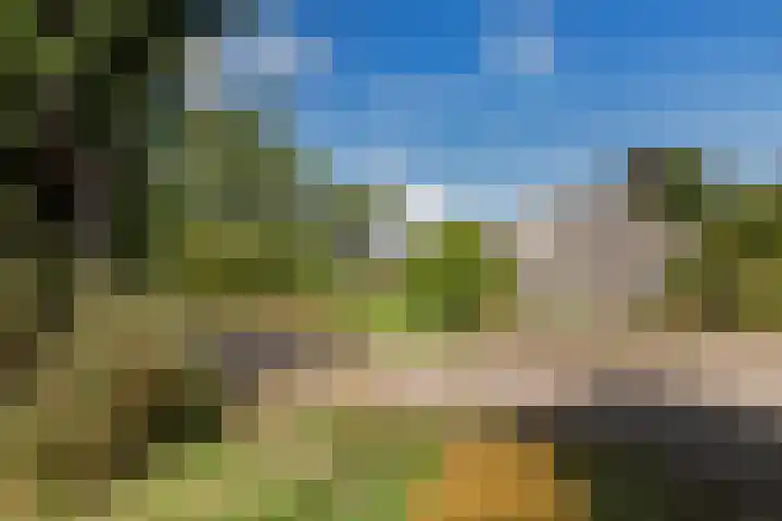 Oosterblokker 131 Oosterblokker thumbnail 82