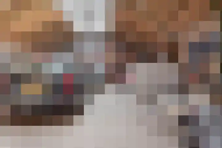 Oosterblokker 131 Oosterblokker thumbnail 83