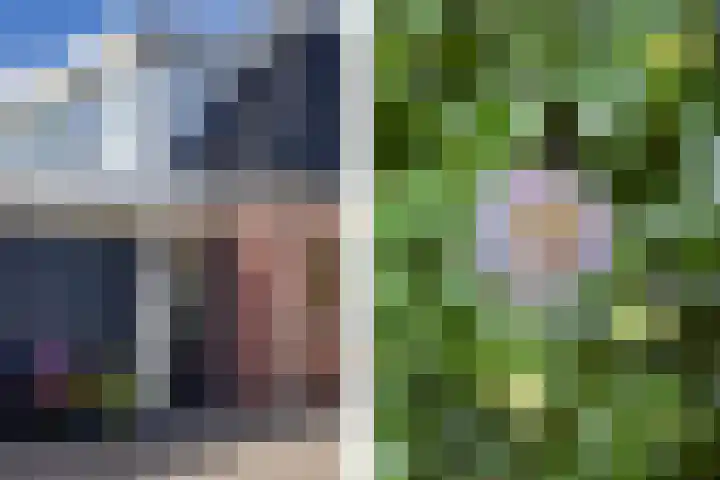 Oosterblokker 131 Oosterblokker thumbnail 85