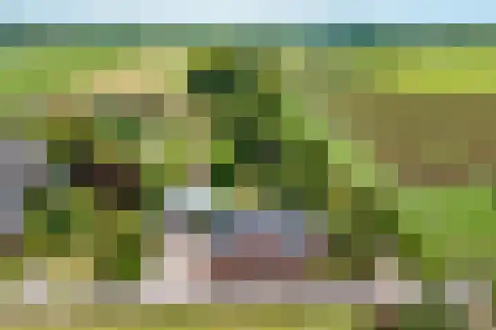 Oosterblokker 131 Oosterblokker thumbnail 87