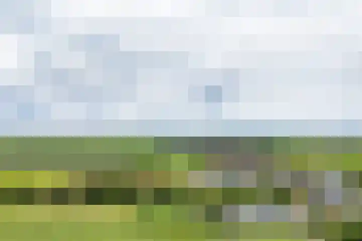 Oosterblokker 131 Oosterblokker thumbnail 88