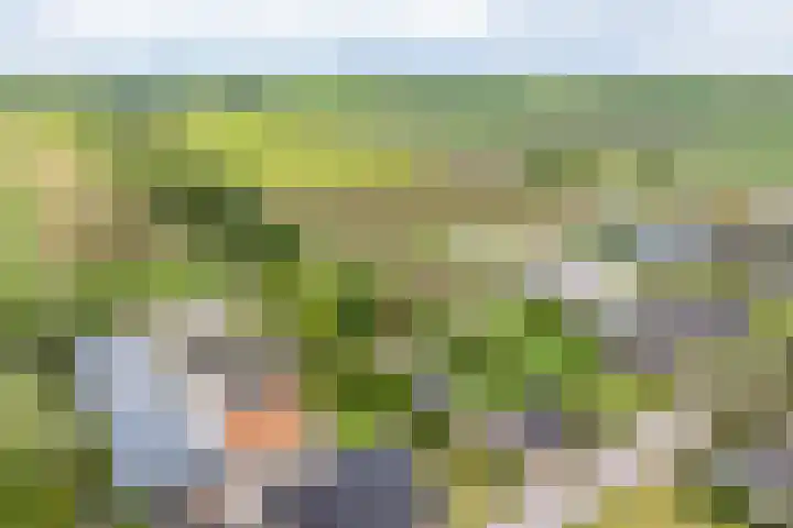 Oosterblokker 131 Oosterblokker thumbnail 89