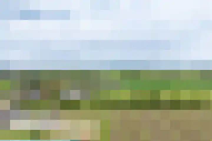 Oosterblokker 131 Oosterblokker thumbnail 90