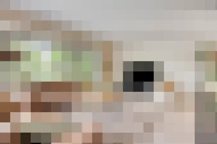 Oosterblokker 23 Oosterblokker thumbnail 10
