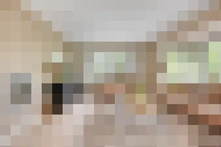 Oosterblokker 23 Oosterblokker thumbnail 12