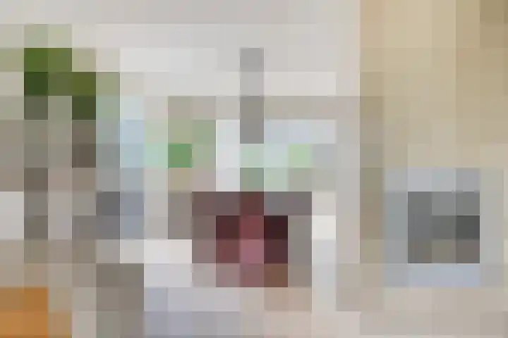 Oosterblokker 23 Oosterblokker thumbnail 16