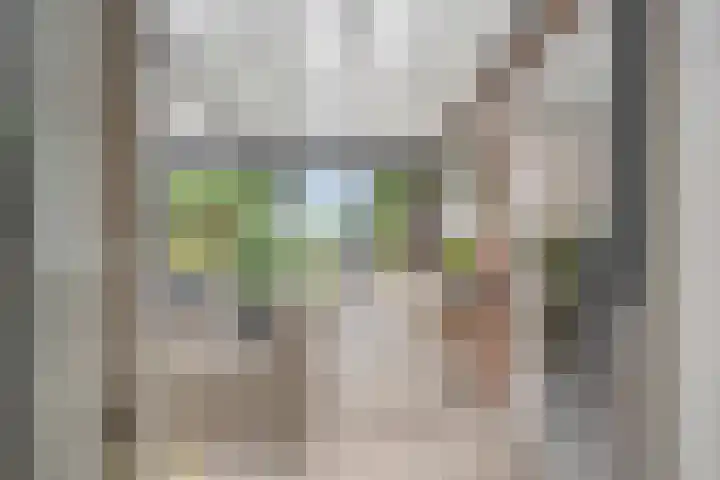 Oosterblokker 23 Oosterblokker thumbnail 22