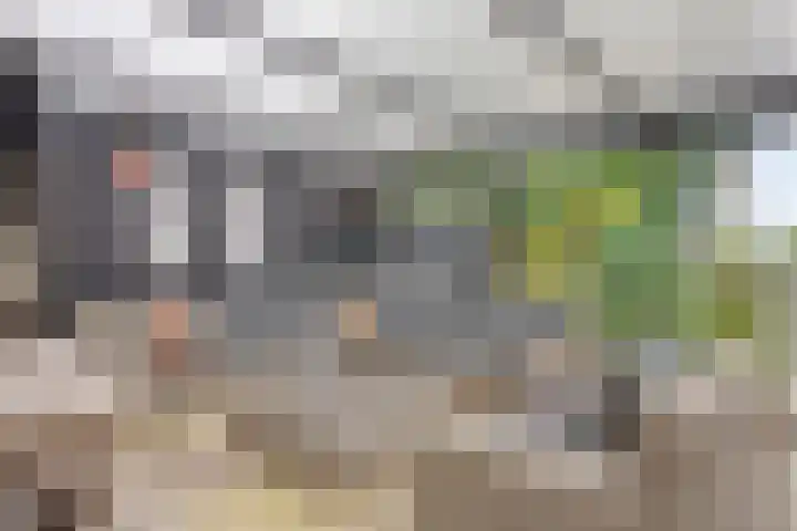 Oosterblokker 23 Oosterblokker thumbnail 23