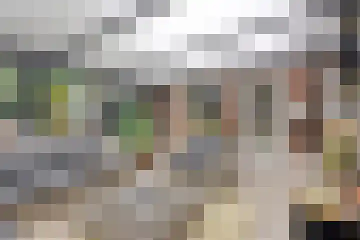 Oosterblokker 23 Oosterblokker thumbnail 24