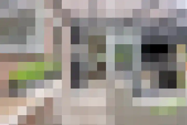 Oosterblokker 23 Oosterblokker thumbnail 25