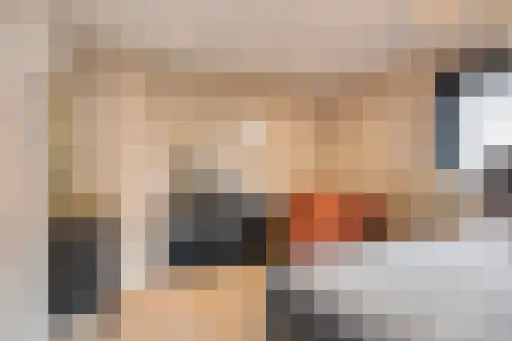 Oosterblokker 23 Oosterblokker thumbnail 26