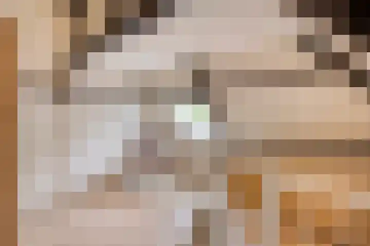 Oosterblokker 23 Oosterblokker thumbnail 31