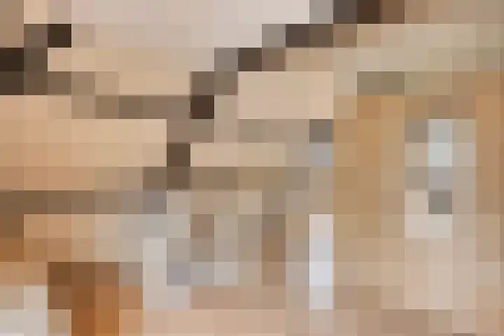 Oosterblokker 23 Oosterblokker thumbnail 32