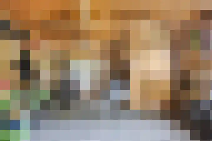 Oosterblokker 23 Oosterblokker thumbnail 39