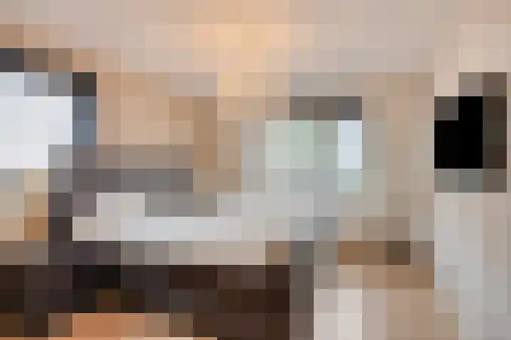 Oosterblokker 23 Oosterblokker thumbnail 4