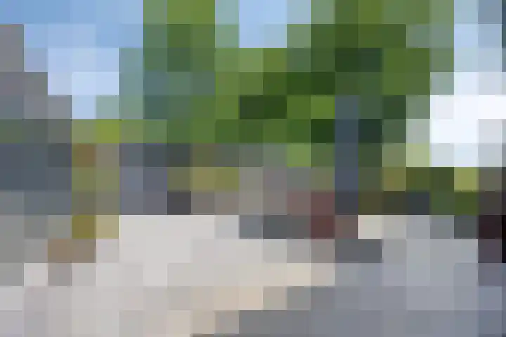 Oosterblokker 23 Oosterblokker thumbnail 40