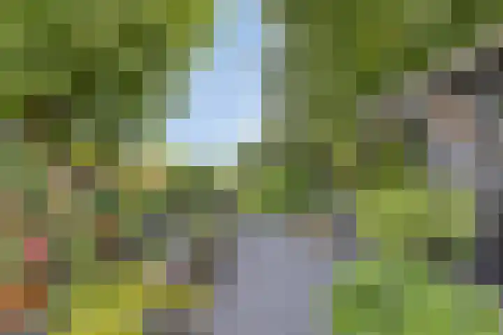 Oosterblokker 23 Oosterblokker thumbnail 42