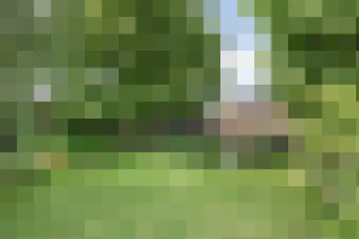 Oosterblokker 23 Oosterblokker thumbnail 44