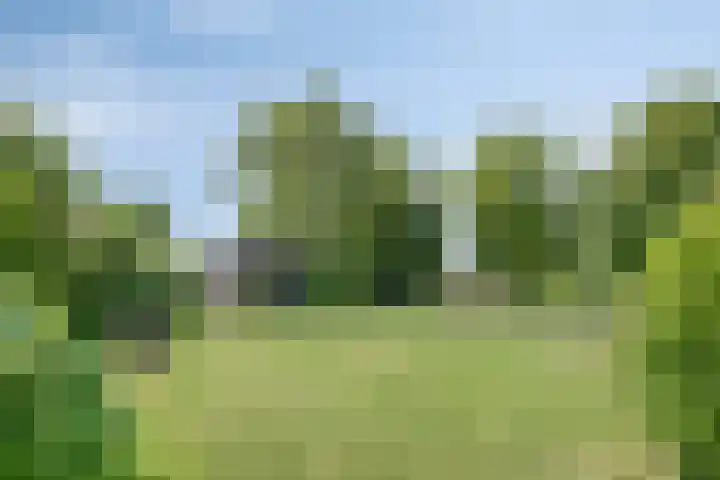 Oosterblokker 23 Oosterblokker thumbnail 46
