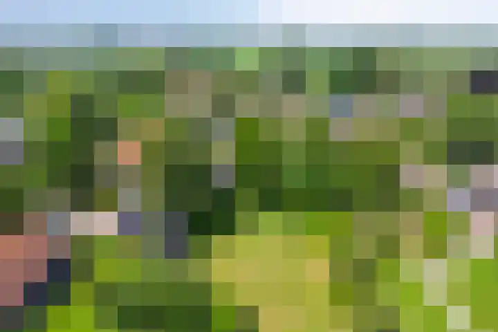 Oosterblokker 23 Oosterblokker thumbnail 48