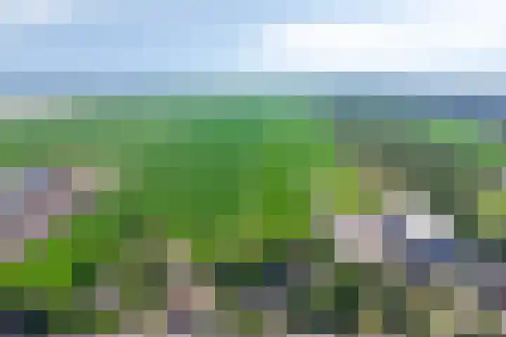 Oosterblokker 23 Oosterblokker thumbnail 49