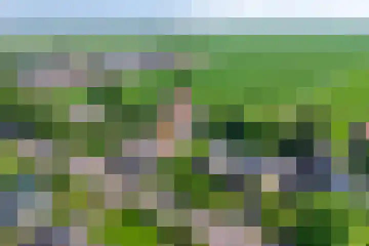 Oosterblokker 23 Oosterblokker thumbnail 50
