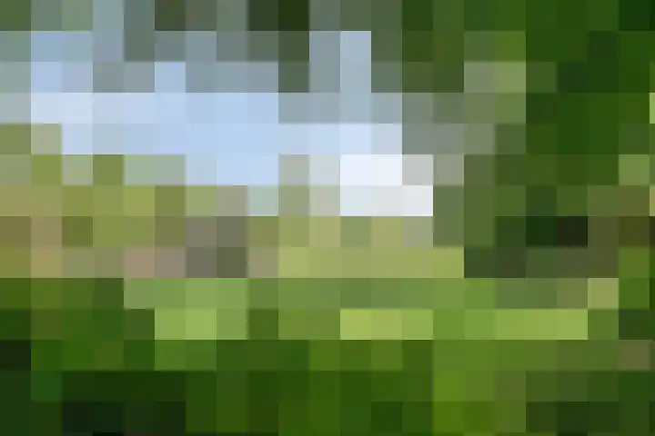 Oosterblokker 23 Oosterblokker thumbnail 6