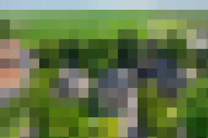 Oosterblokker 23 Oosterblokker thumbnail 61
