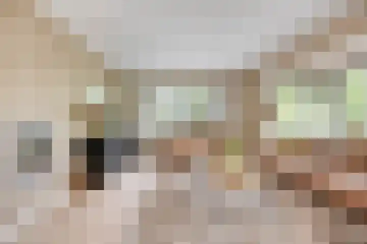 Oosterblokker 23 Oosterblokker thumbnail 9