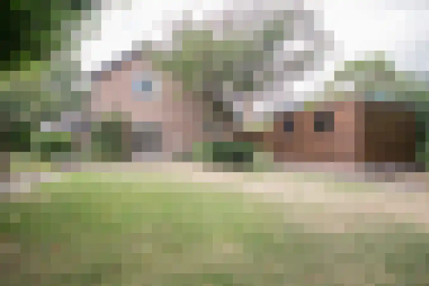 Oosterboerweg 4 B Meppel thumbnail 28