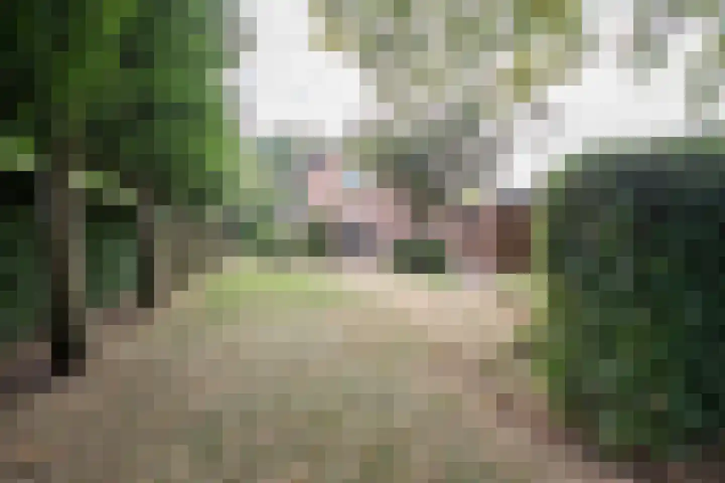 Oosterboerweg 4 B Meppel thumbnail 29