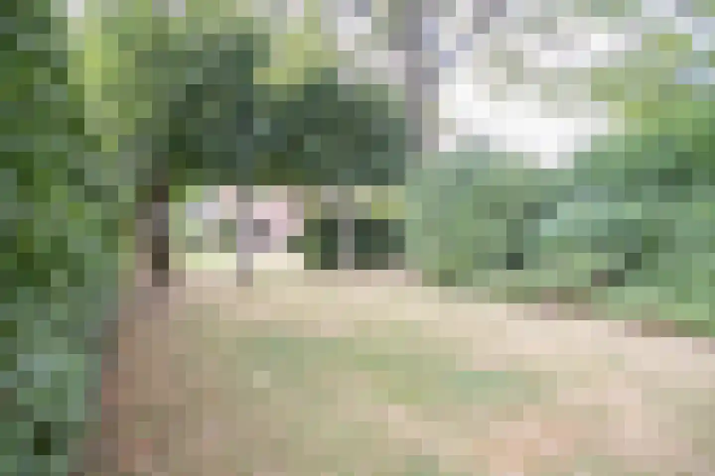 Oosterboerweg 4 B Meppel thumbnail 30