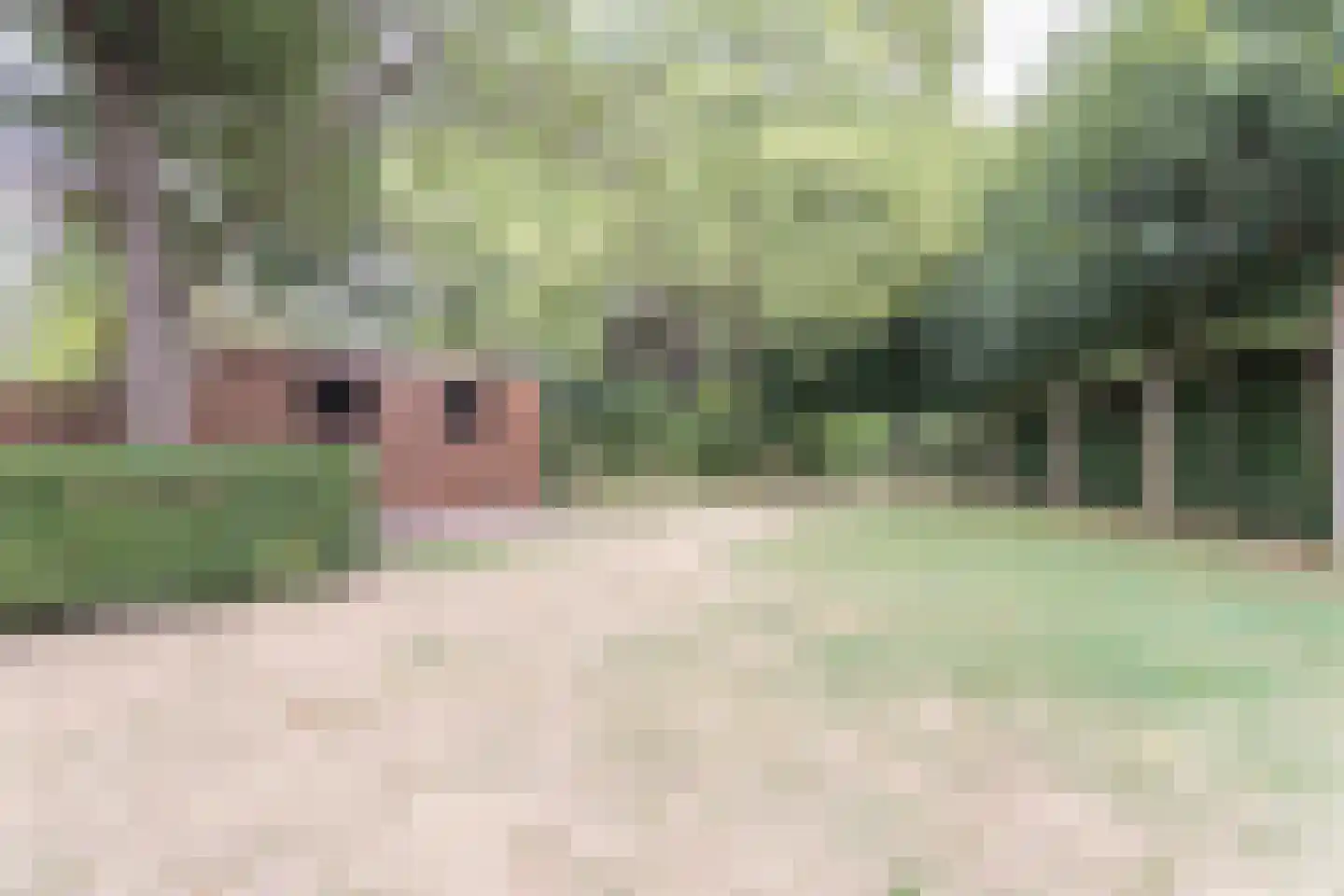 Oosterboerweg 4 B Meppel thumbnail 31